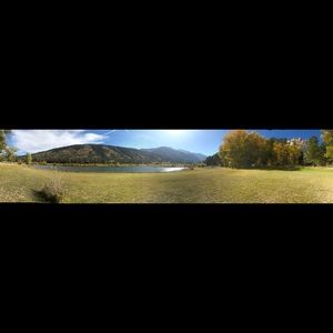 Meet your Posher, Doreen